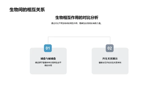 生态系统解析