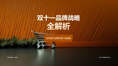 双十一品牌战略全解析