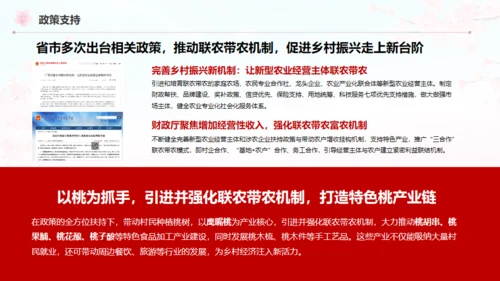 小镇桃花节策划方案通用PPT