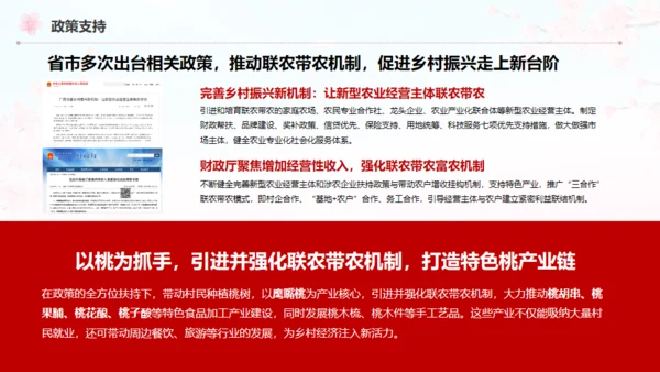 小镇桃花节策划方案通用PPT