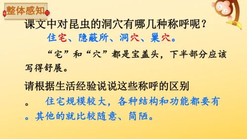 11 蟋蟀的住宅  课件