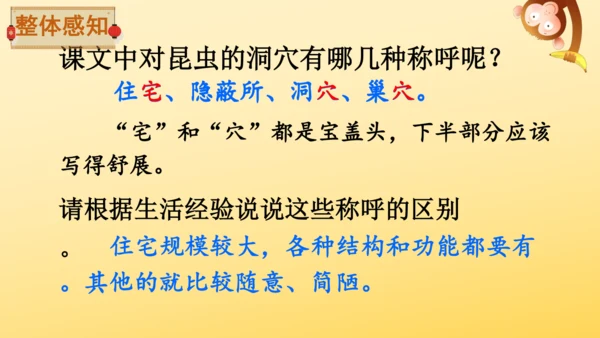 11 蟋蟀的住宅  课件