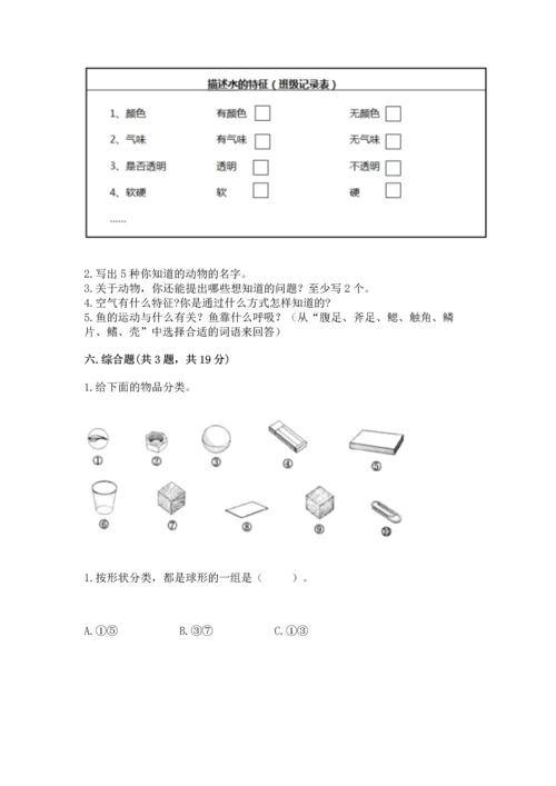 教科版一年级下册科学期末测试卷及参考答案（考试直接用）.docx