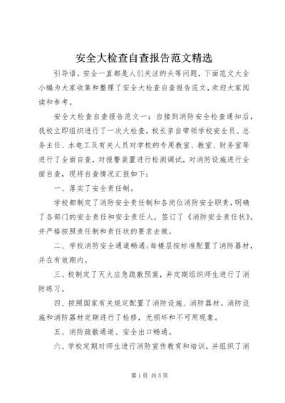 安全大检查自查报告范文精选.docx