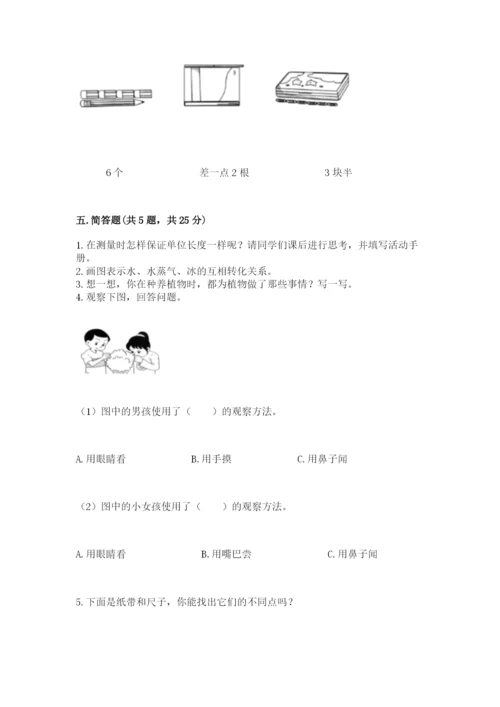 教科版一年级上册科学期末测试卷（能力提升）.docx
