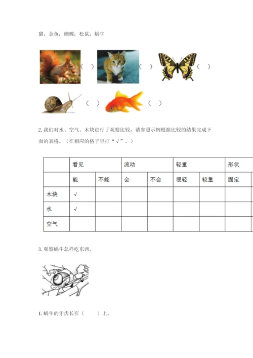 教科版一年级下册科学期末测试卷附完整答案（历年真题）.docx