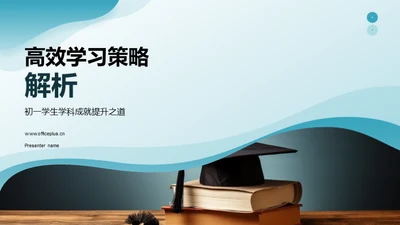 高效学习策略解析