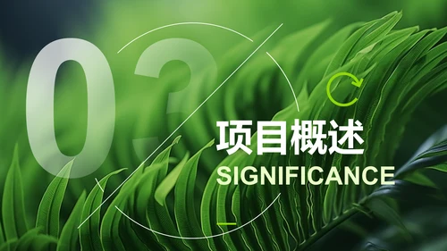 绿色商务风乡村振兴商业计划书PPT模板