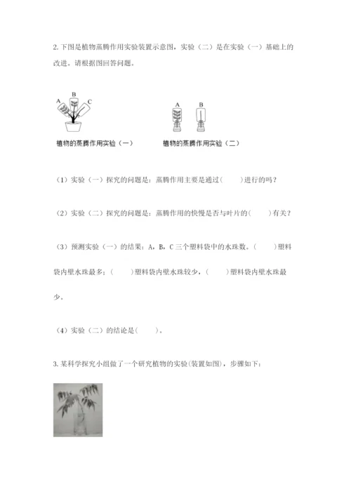 教科版科学四年级下册第一单元《植物的生长变化》测试卷及答案（有一套）.docx