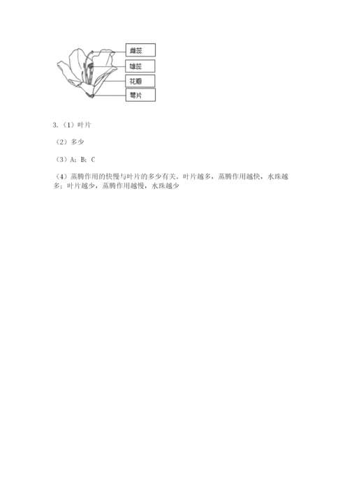科学四年级下册第一单元植物的生长变化测试卷（考点梳理）.docx