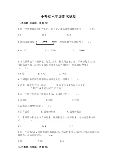 小升初六年级期末试卷带答案（培优b卷）.docx