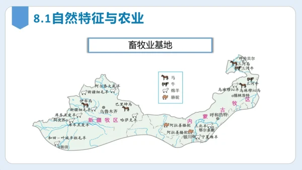 第八章 西北地区单元复习课件(共27张PPT)