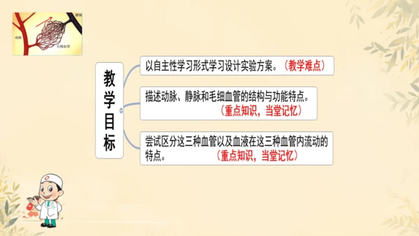 初中生物学人教版（新课程标准）七年级下册4.2 血流的管道──血管课件(共16张PPT)