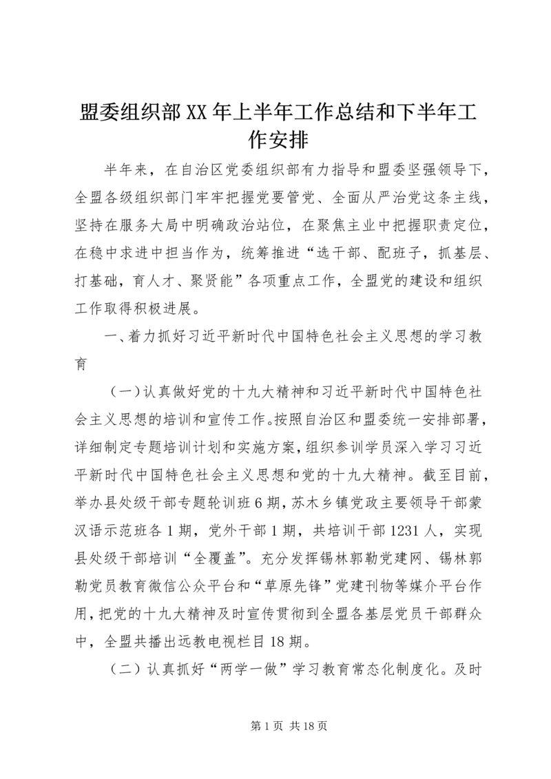 盟委组织部XX年上半年工作总结和下半年工作安排 (2).docx