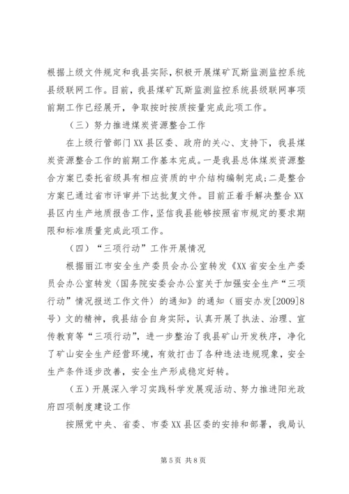 矿产局上半年工作总结及下半年工作计划.docx