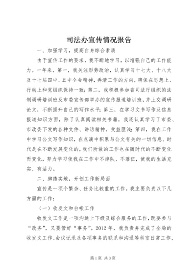 司法办宣传情况报告.docx