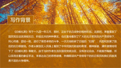 初中语文茅盾《白杨礼赞》PPT教学课件