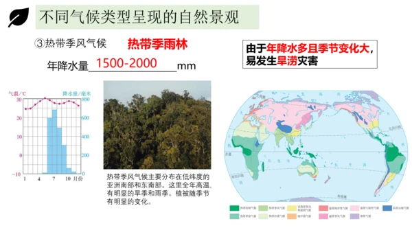 3.4世界的气候 2023-2024学年七年级地理上册同步精品课件（人教版）（共51张ppt)