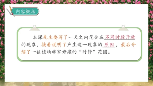 【核心素养】部编版语文三年级下册-13. 花钟 第1课时（课件）