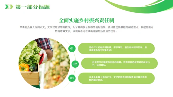 全面推进乡村振兴通用PPT