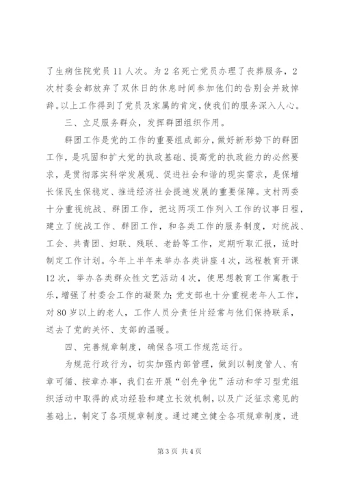 村党支部半年党建工作总结.docx