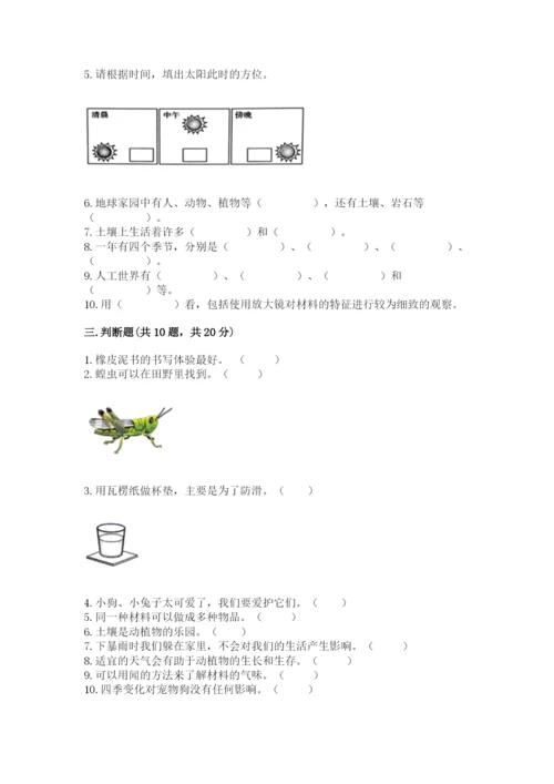 教科版二年级上册科学期末测试卷【典优】.docx