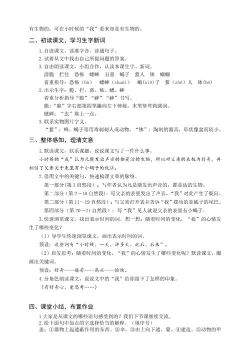 统编版六下16 表里的生物（教案含反思）