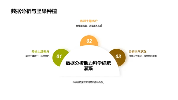 智慧农业：坚果种植新纪元