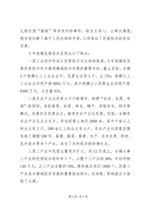 乡镇ＸＸＸＸ年度民营经济工作总结.docx