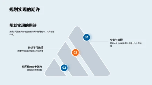 职业规划与卓越追求