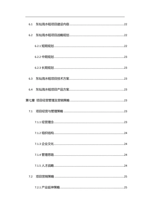 东灿海上水稻项目商业计划书.docx
