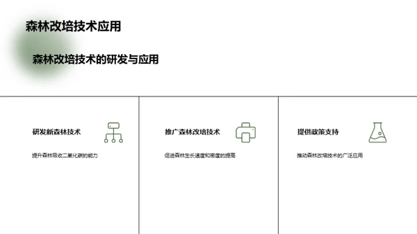 森林改培：抗击气候变化