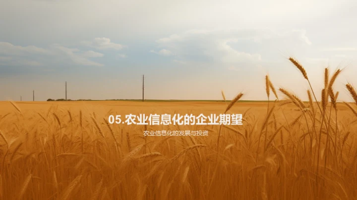 农业信息化的探索