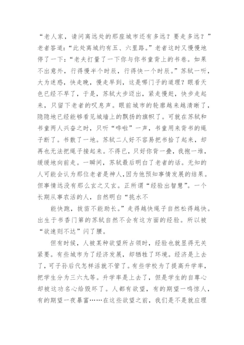 欲速则不达的议论文.docx
