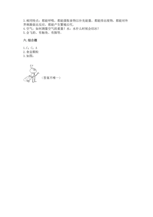 教科版一年级下册科学期末测试卷带答案（b卷）.docx