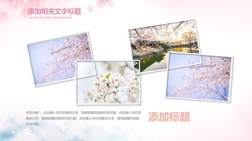 唯美浪漫十里桃花开樱花节樱花季桃花ppt