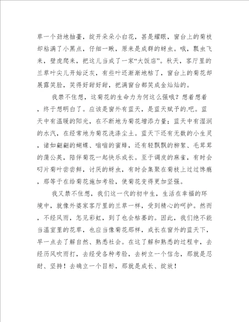 窗外叙事作文优秀11篇