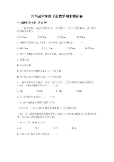 武川县六年级下册数学期末测试卷标准卷.docx