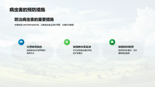 谷雨季节农事指南