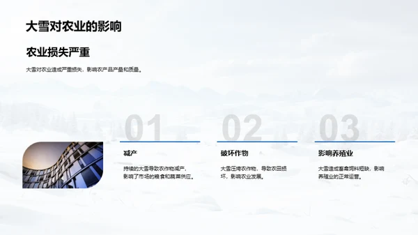 大雪的全方位解析
