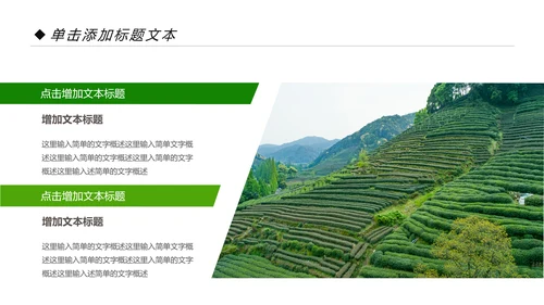 绿色清新茶园茶艺茶道文化动态PPT模板