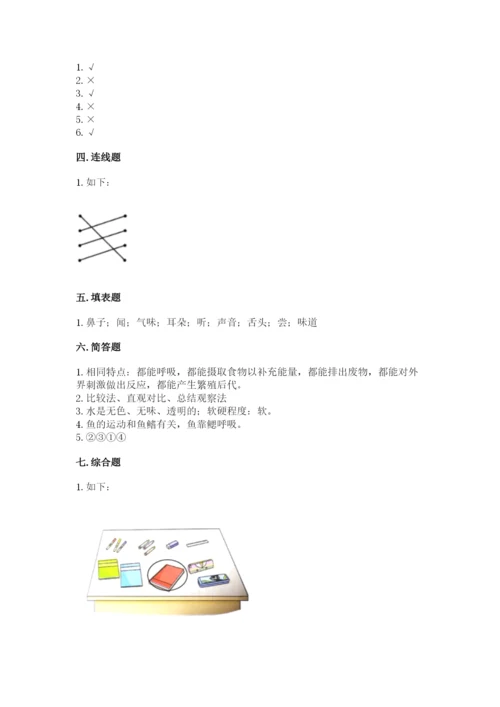 教科版一年级下册科学期末测试卷含完整答案（全国通用）.docx