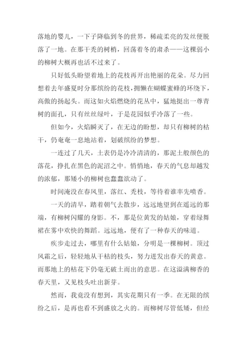 又见枝头吐新芽作文800字.docx