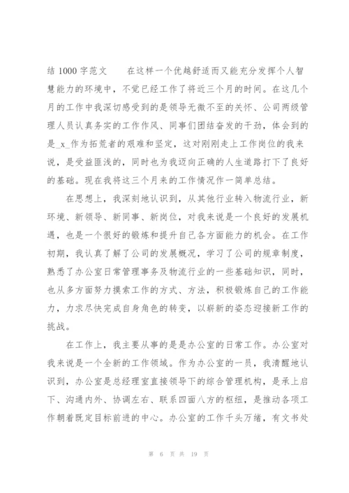 个人转正工作总结1000字范文10篇.docx