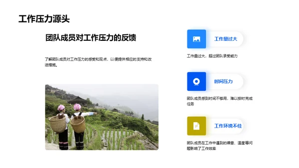 团队效能全面分析