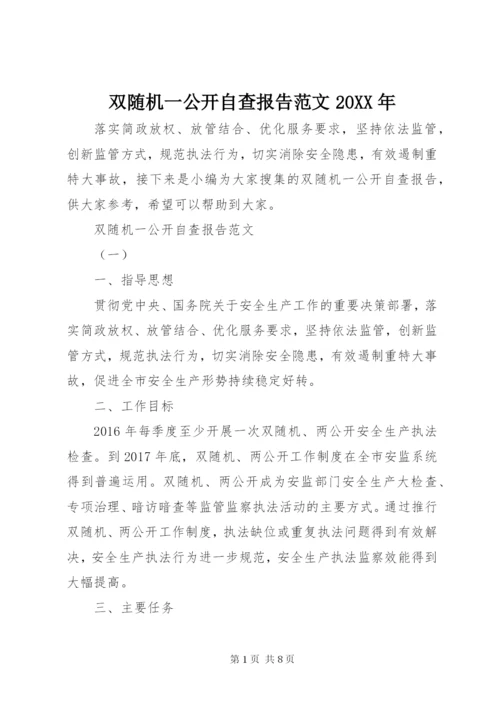 双随机一公开自查报告范文某年.docx