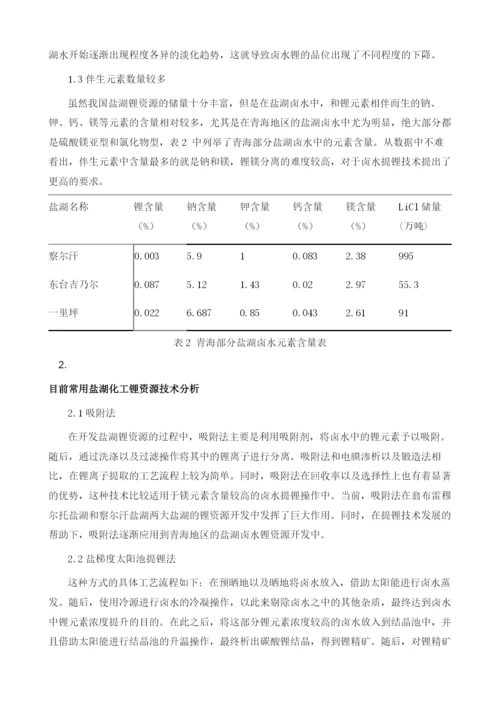 开发和利用盐湖化工锂资源的技术要点分析.docx