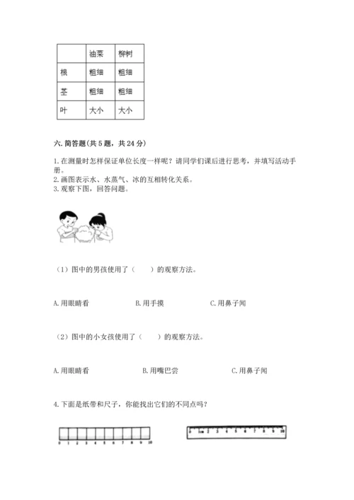 教科版科学一年级上册期末测试卷及完整答案（夺冠系列）.docx