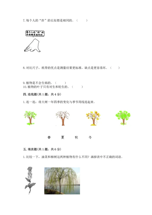 教科版一年级上册科学期末测试卷【中心小学】.docx