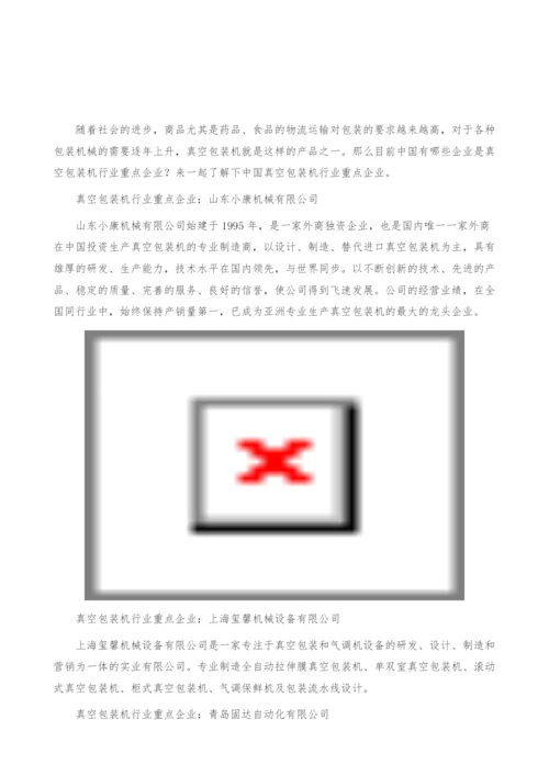 真空包装机行业重点企业-产业报告.docx